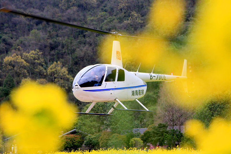 張家界黃龍洞：直升機游受青睞 三月春光醉四海